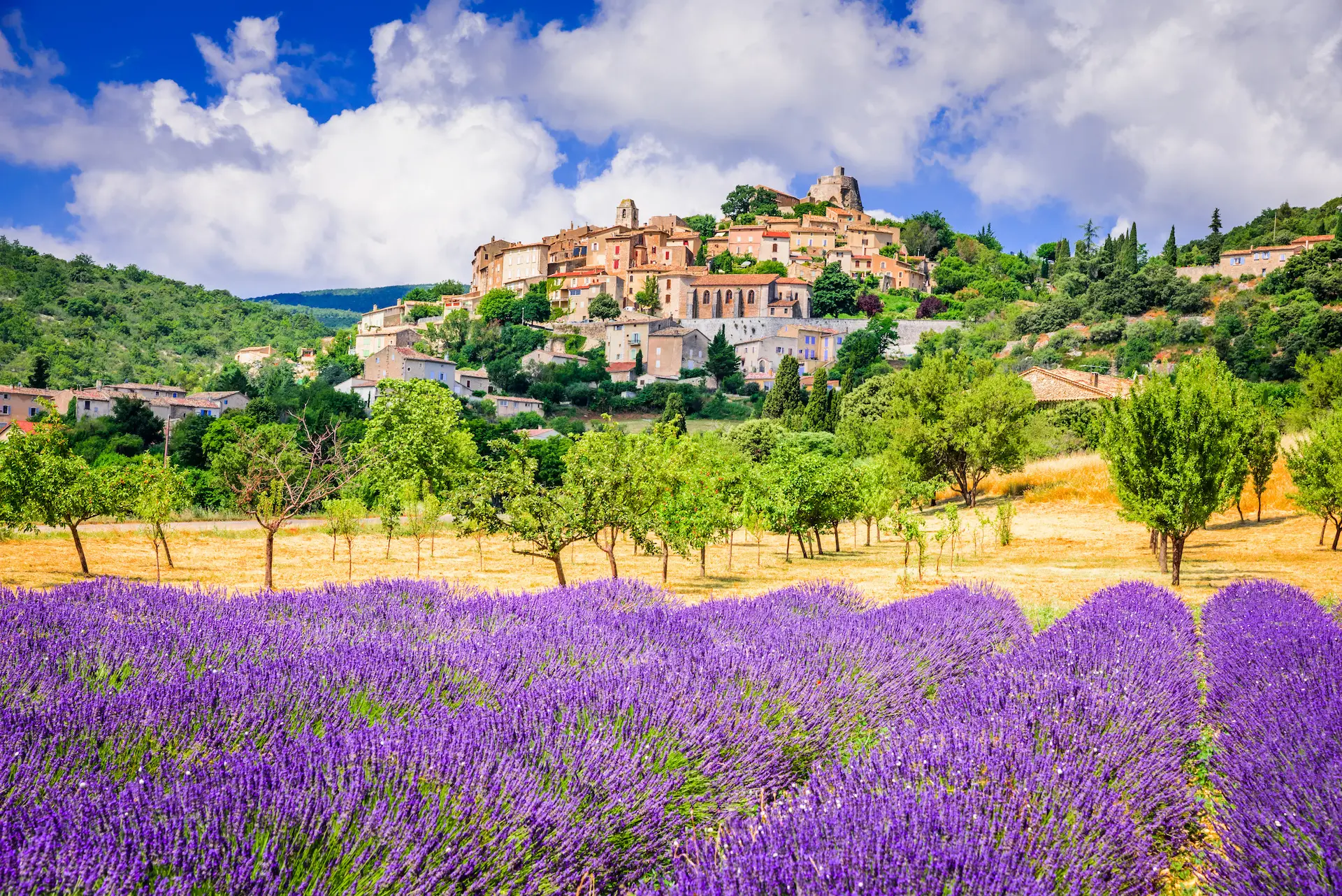 Provence, France: Best Flower Destination