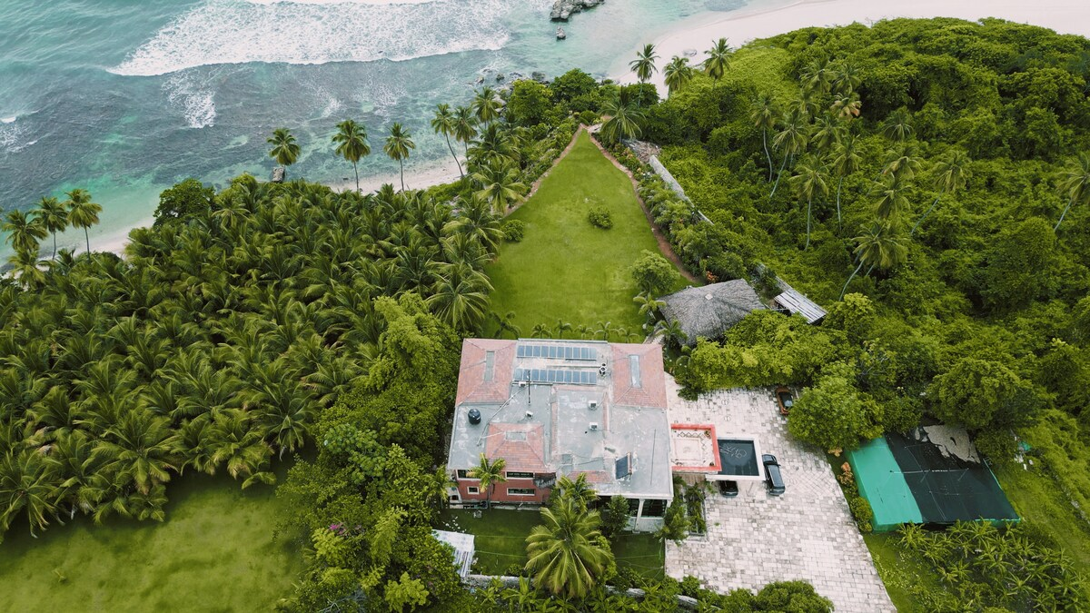 Eco-luxury beach resort villa nestled among dense palm trees along a serene ocean lagoon in French Polynesia.