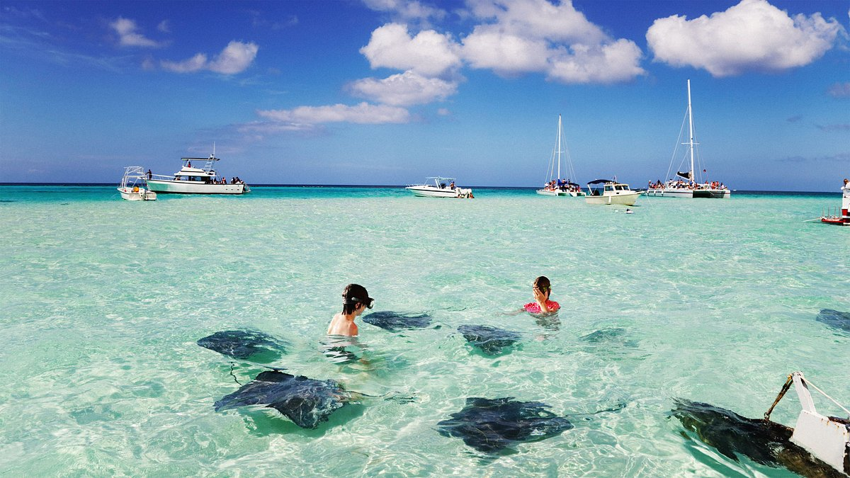 Tourists swimming in clear turquoise Caribbean shallow water alongside wild stingrays with boats anchored in the background.