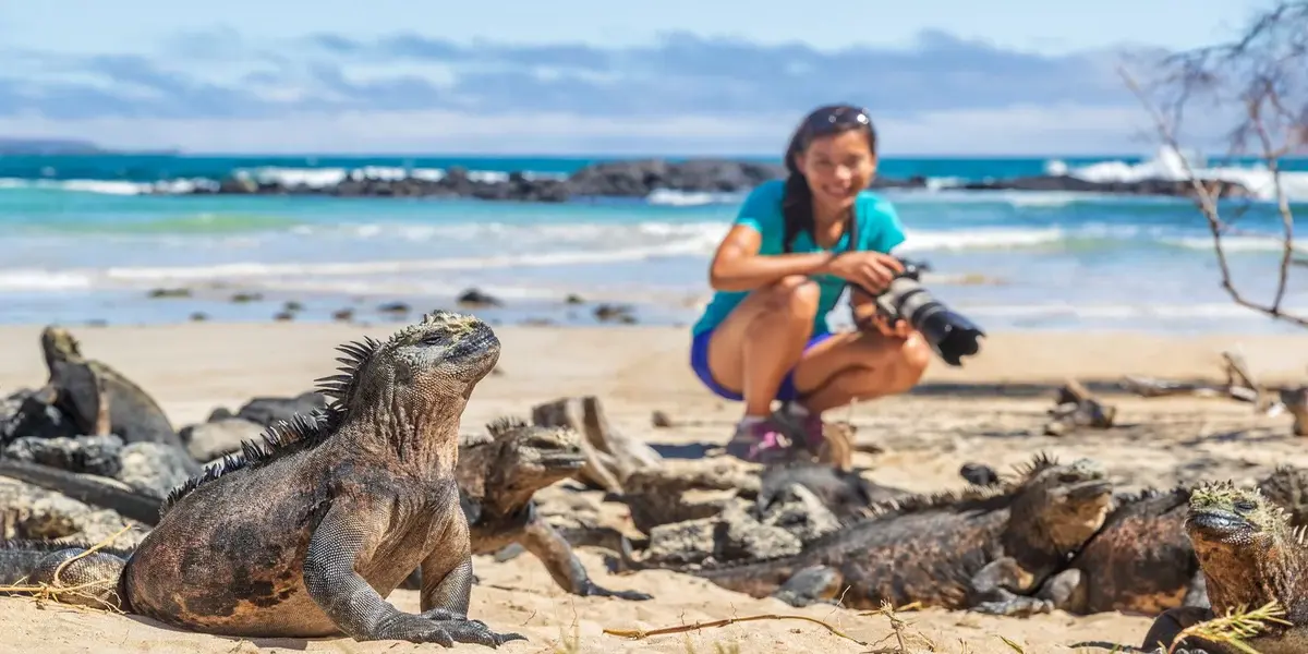 Galapagos Islands sea lion and marine iguana