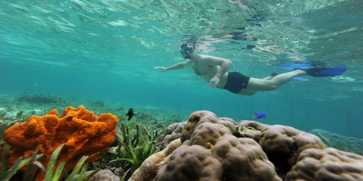 Raja Ampat scuba diver exploring coral reef